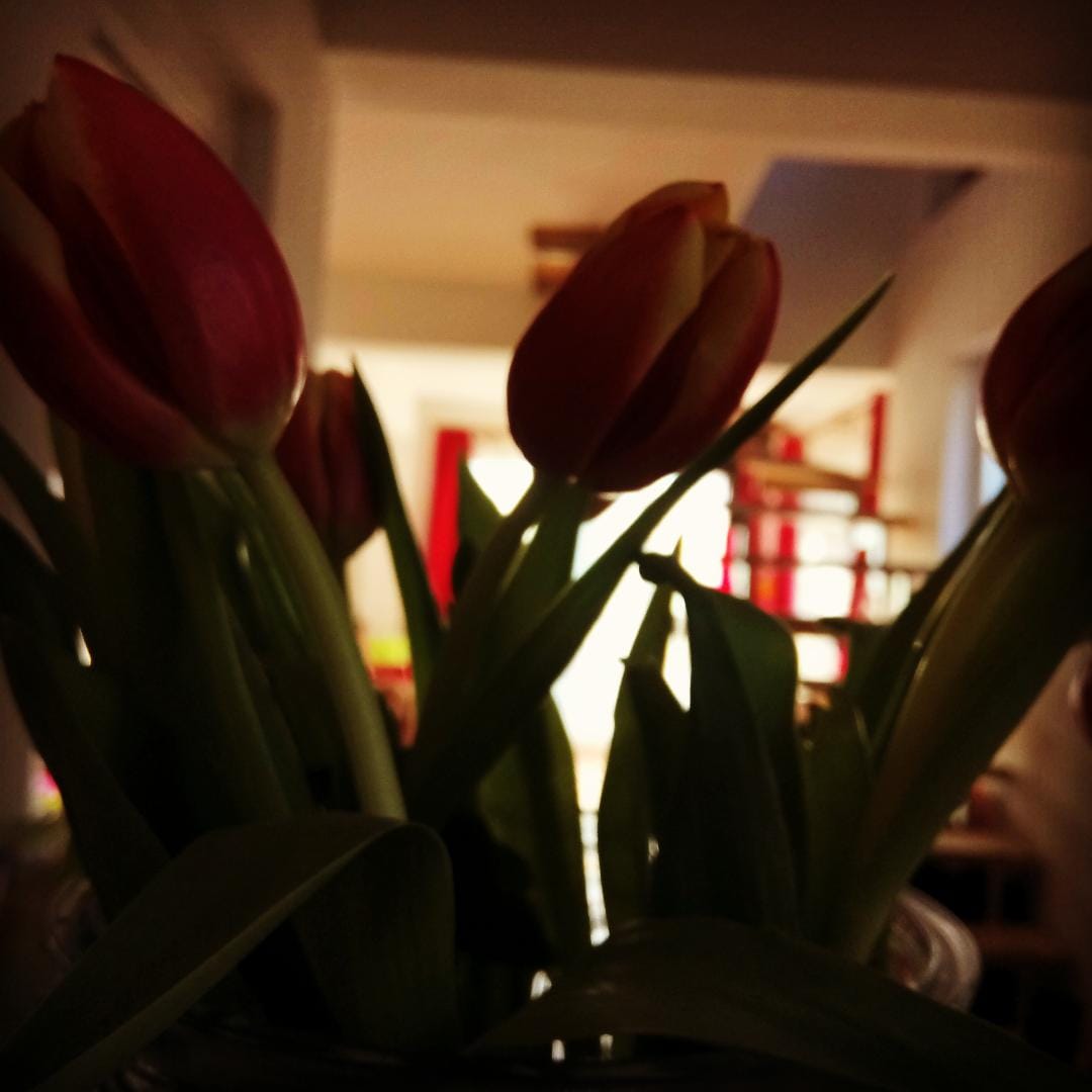 Що е то 14ти февруари?