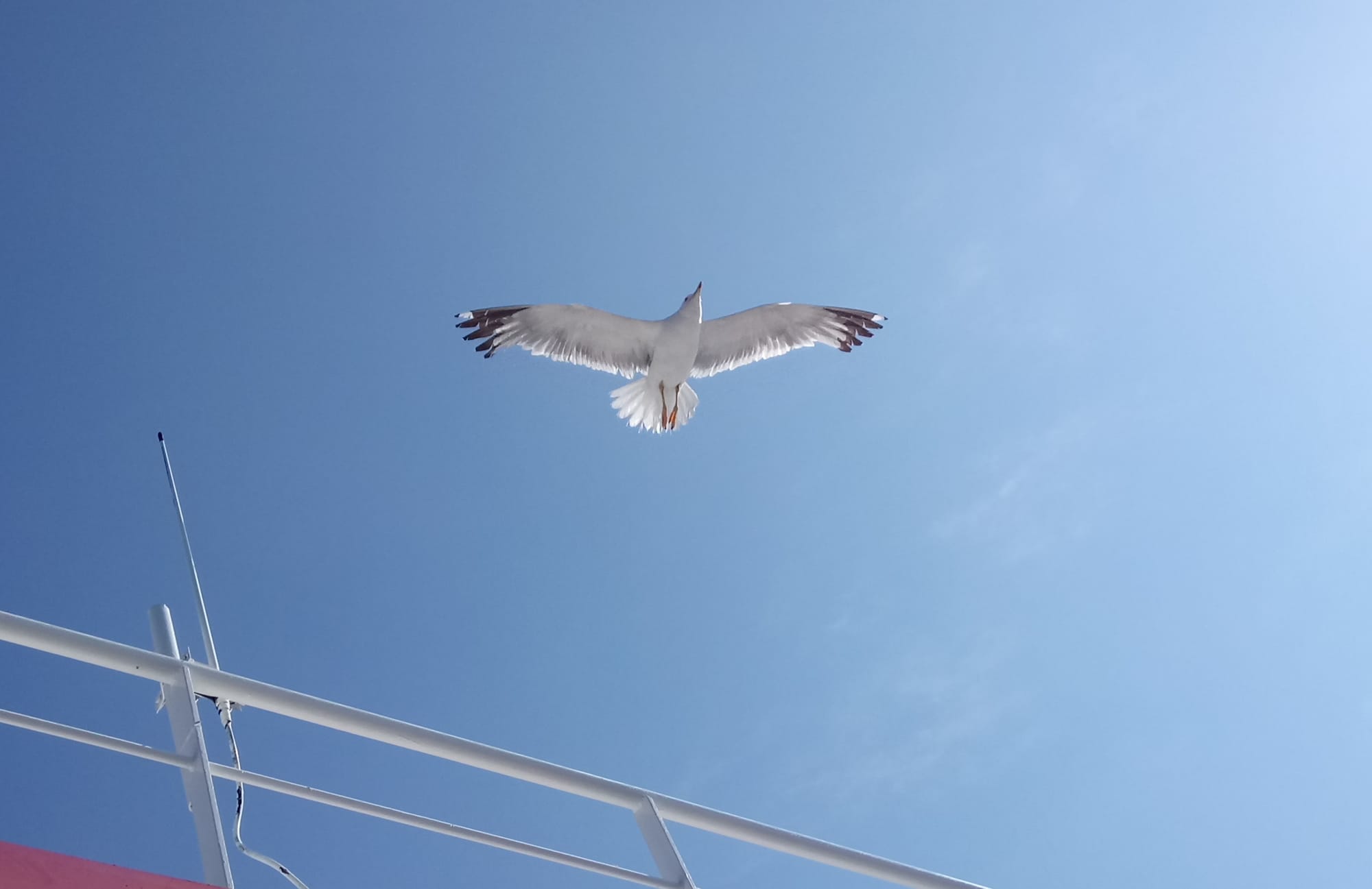 Тасос - сладоледен рай с морски пръски