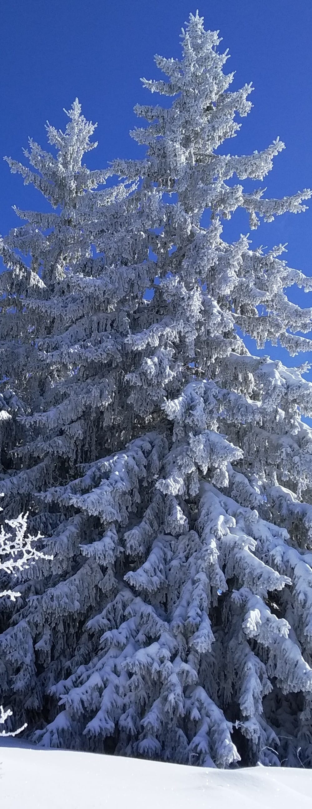 Скиорски преживявания