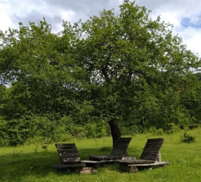 Рибарица - кътче красив Балкан