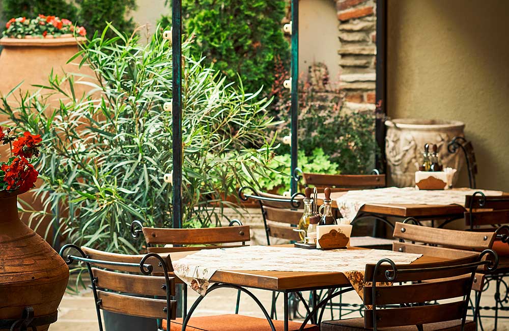 Ресторант "Стария чинар"