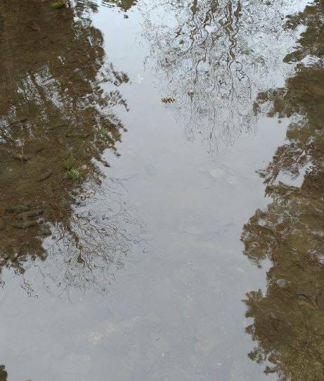 Язовир "Калин"