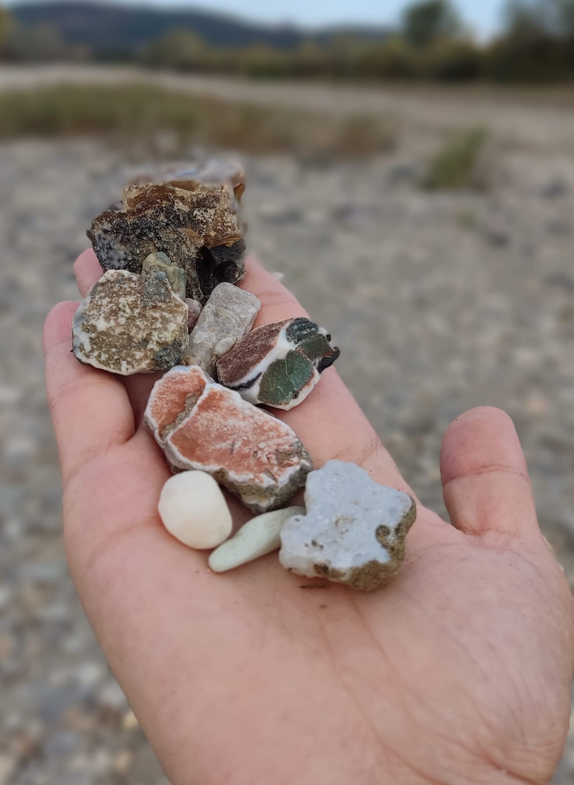 Световният ден на Донорството