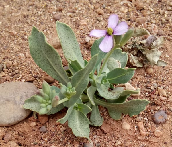 8 март - ден на уважението