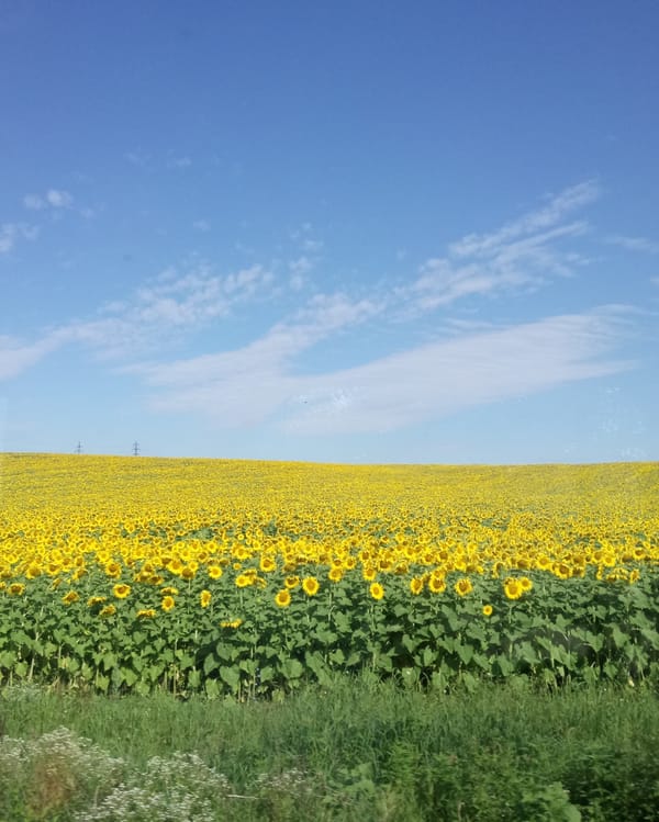 Бремето, което всеки носи от родителите си